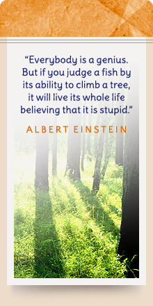 Everybody is a genius. But if you judge a fish by its ability to climb a tree, it will live its whole life believing that is stupid. - Albert Einstein